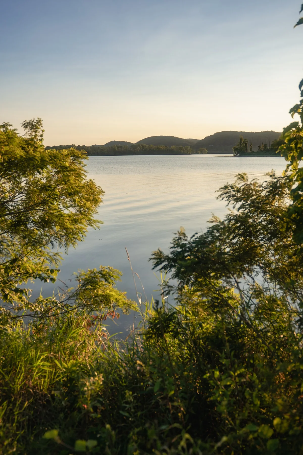 Lake through foliage